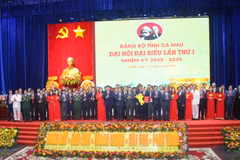 金瓯省党委2025-2030年任期执行委员会。图自越通社