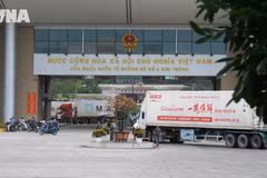  越南农产品对华出口按下“加速键”