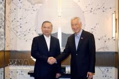 越共中央总书记、国家主席苏林会见新加坡前总理李显龙。图自越通社