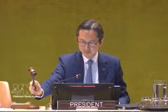 越南常驻联合国代表团团长杜雄越大使宣布会议闭幕。图自越通社