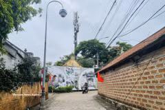 唐林古村的巷道。图自越通社
