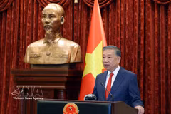 越共中央总书记、国家主席苏林。图自越通社