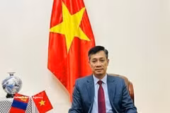 越南驻蒙古国大使阮俊青。图自越通社