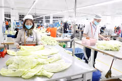 兴越服装公司（兴安省）纺织厂。图自越通社