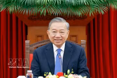 越共中央总书记、国家主席苏林。图自越通社