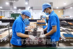 今年前10月越南全国CPI指数上涨3.27%。图自越通社
