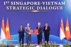 越南与新加坡迈向共同自强未来