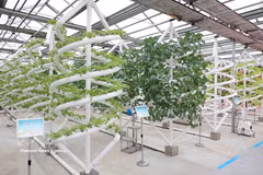 黑龙江省农业科技园智能植物育种模型。图自越通社