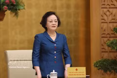 越南政府副总理范氏清茶发表讲话。图自越通社