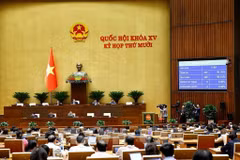 越南第十五届国会第十次会议全景。图自越通社