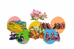宣光省2026年第十二届荞麦花节开幕