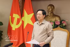 越南政府副总理胡国勇在会上发表讲话。图自越通社