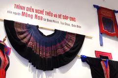 保护与传承奠边省赫蒙族刺绣与蜡染手工技艺 