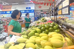 2026年5月越南CPI指数环比上涨0.29%。图自越通社