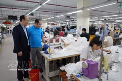 旅加越南人提出连接侨胞资源与民营经济的三项建议