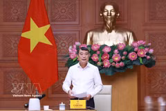 越南政府总理黎明兴发表讲话。图自越通社