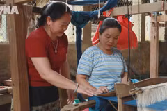 奠边省山区妇女积极带头发展经济传承文化