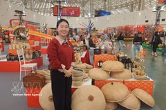 河内市红云乡宁楚手工艺村展出的产品。图自越通社