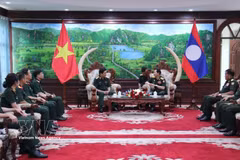 工作会谈现场。图自越通社