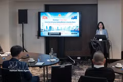 越南驻澳大利亚商务处首席代表陈氏清美发表讲话。图自越通社