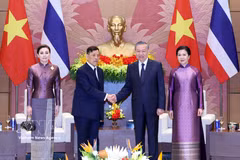 越共中央总书记、国家主席苏林与泰国国王玛哈·哇集拉隆功举行会谈