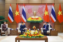 越南政府总理黎明兴会见泰国国王玛哈·哇集拉隆功和王后