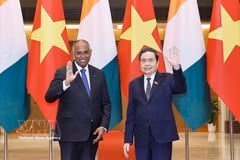 越南国会主席陈青敏与科特迪瓦共和国国民议会议长帕特里克·阿希。图自越通社