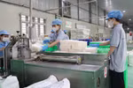 西宁省一家企业的生产链。图自越通社
