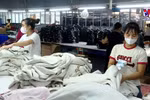 2024年越南纺织品服装出口额达440亿美元