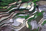 山罗：芒罗乡梯田迎来灌水季