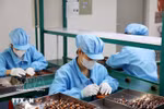越南与新加坡在半导体产业中的互补优势