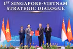 越南与新加坡迈向共同自强未来