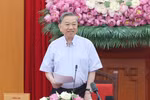 继续主动审查、完善提交越共第十四次全国代表大会的文件草案