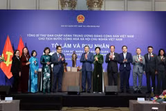 苏林：海外越南人是国家重要战略资源