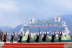 当地各族群众与众多游客踊跃参与玉战乡山楂花节活动。图自 越通社