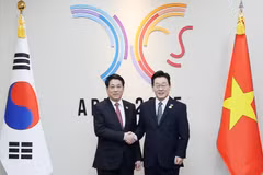 越南国家主席梁强与韩国总统李在明举行会谈