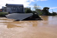 主动应对北部和中部地区强降雨、山洪及山体滑坡