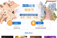 2026岘港畅享节热闹举行