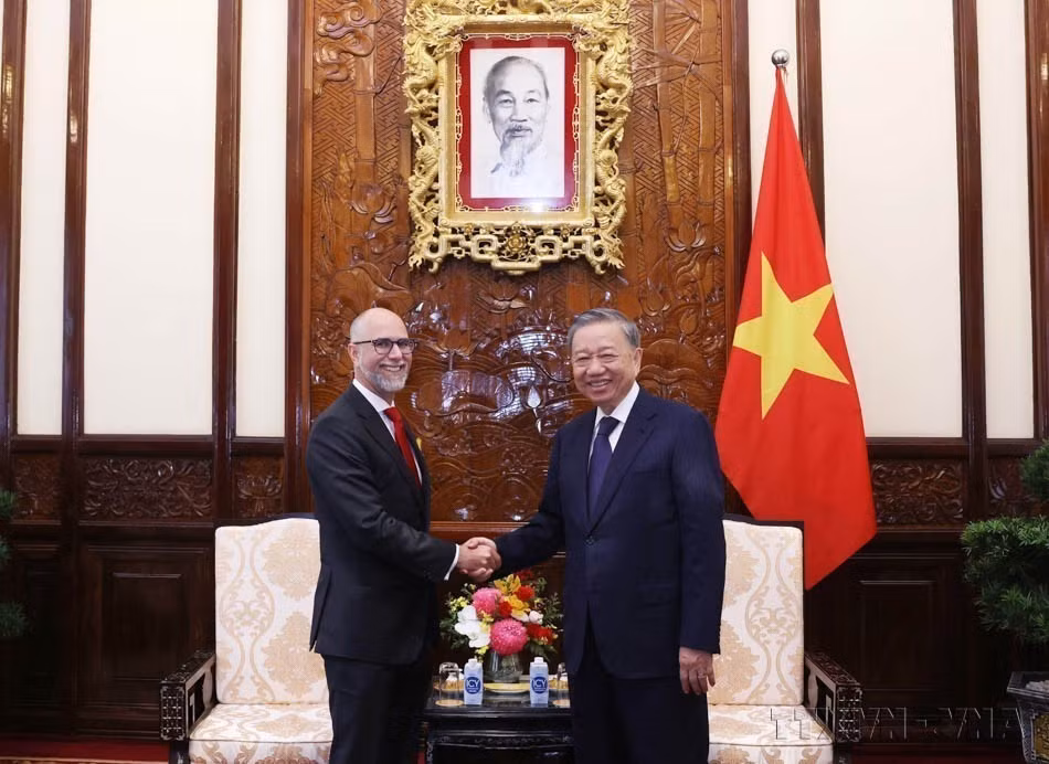 国家主席苏林会见加拿大驻越南大使肖恩·佩里·斯泰尔（河内，2024年8月2日）。图自越通社