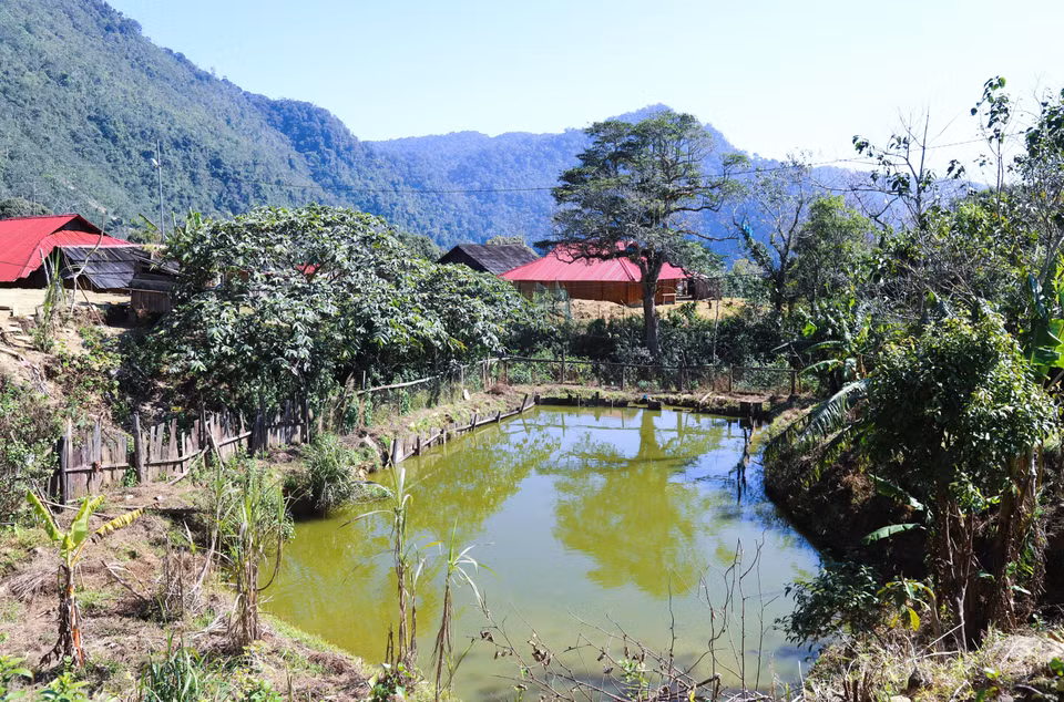怀满村苗族同胞截流筑坝，形成池塘用于养鱼，为家庭提供食物来源。图自越通社