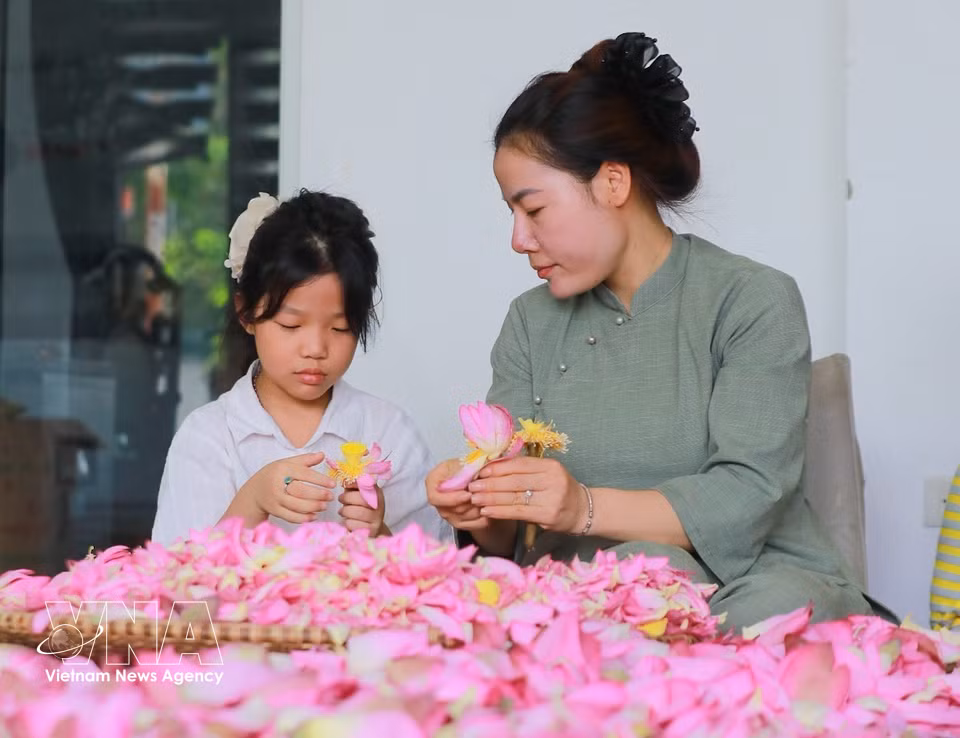 广安荷花茶窨制是一项历史悠久的传统技艺，代代相传，整个窨制流程完全采用手工方法。图自越通社