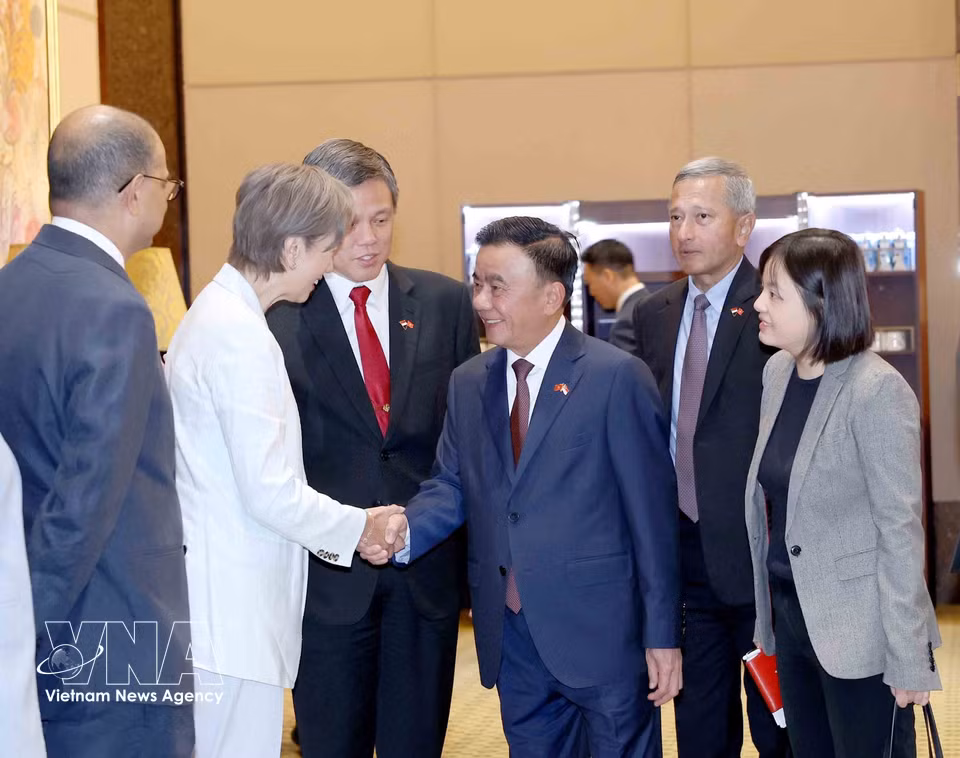 越共中央政治局委员、中央书记处常务书记陈锦秀与新加坡人民行动党副秘书长、国防部长兼公共服务统筹部长陈振声及两党高级代表共同出席欢迎仪式。图自越通社