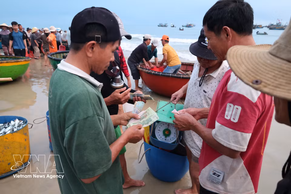 渔民在售卖每趟夜渔归来所捕捞的海产。图自越通社