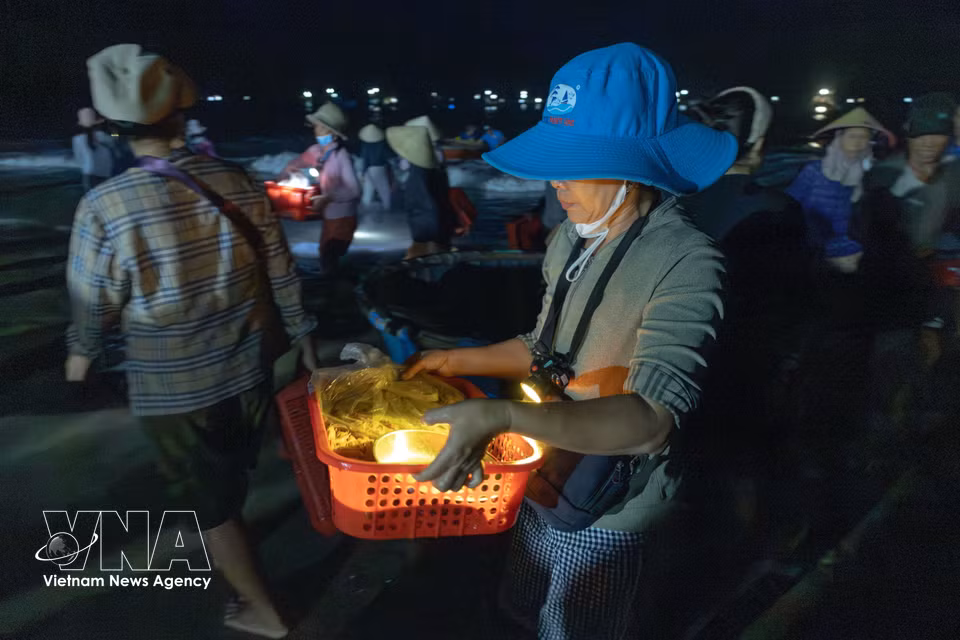 夜航渔获的一网网鲜鱼，从船上直接送上岸。图自越通社