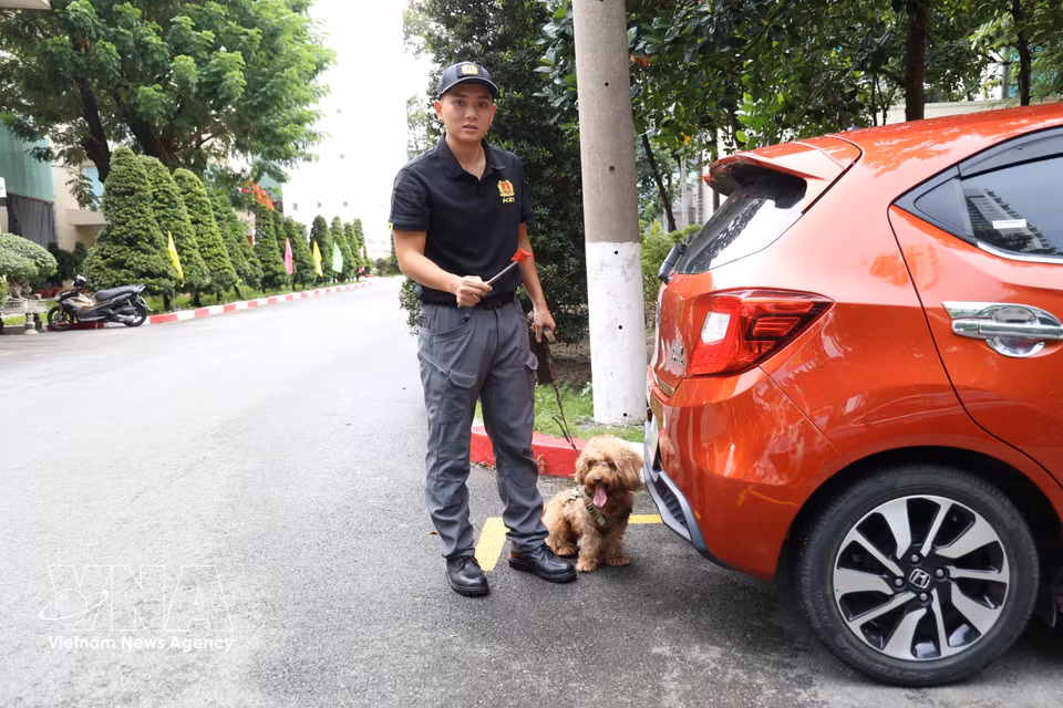 警犬Nicky在车底执行爆炸物排查训练。图自越通社