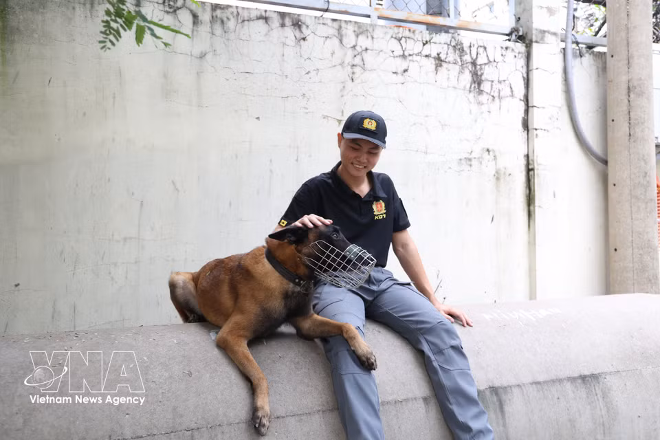 休息时间，警犬Rich与训练干部少尉黎晋通 “聊天儿”。图自越通社
