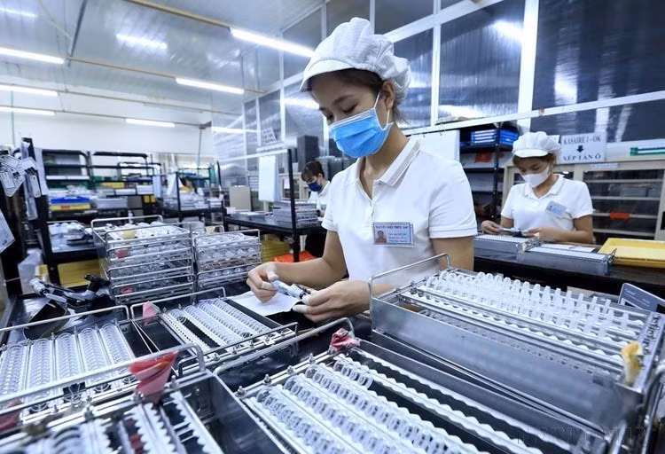 目前，日本是越南第一大经济伙伴和最大官方开发援助国。日本的外商直接投资已遍布越南63个省市中的57个。日本在越南有效外资项目近5000个，注册投资总额近700亿美元，在对越投资的141个国家和地区中位居第三位。图自越通社