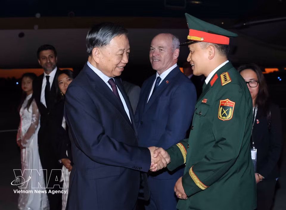 越南驻加拿大大使馆干部、工作人员在渥太华麦克唐纳-卡蒂埃国际机场迎接苏林总书记、国家主席。图自越通社