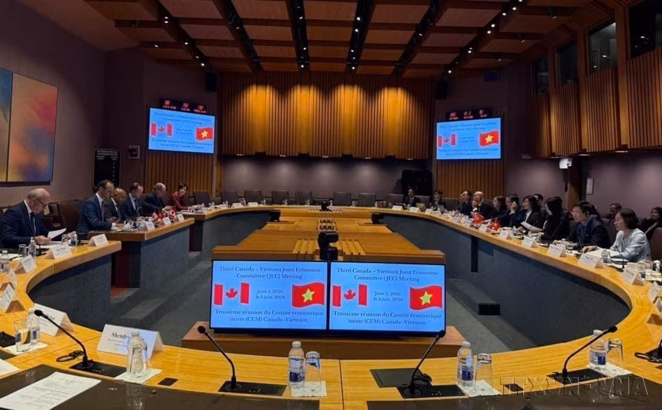 越南—加拿大经济联合委员会第三次会议（JEC 3）由越南工贸部副部长潘氏胜和加拿大全球事务部副部长阿伦·坦加拉吉（Arun Thangaraj）共同主持（2026年6月6日）。图自越通社