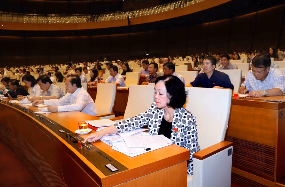 国会表决通过关于2019年法律法规制定计划决议草案 ảnh 1